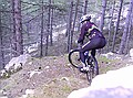 Sous bois de resineux au dessus de Puget Thniers, avec des tonnes d'epingles...pour moi tout seul!.